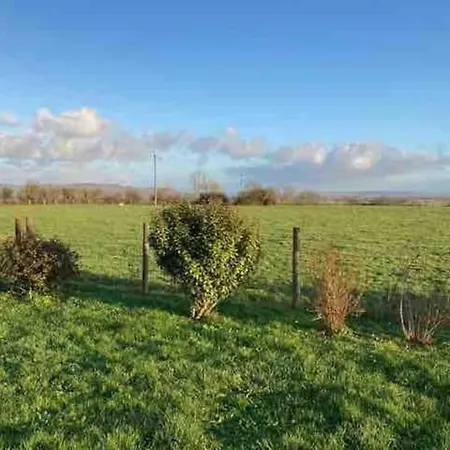 La Chollerie De Marmaju