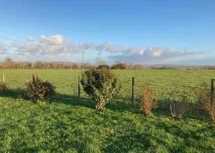 La Chollerie De Marmaju